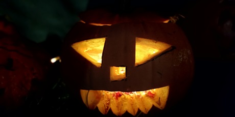 Powiększ grafikę: dyniowy-zawrot-glowy-564574.jpg