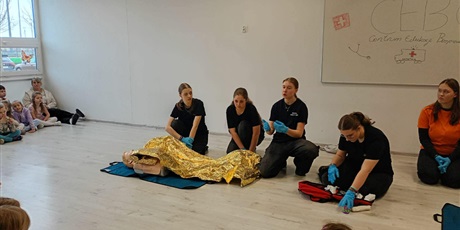 Powiększ grafikę: podstawy-pierwszej-pomocy-680962.jpg