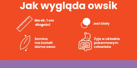 Powiększ grafikę: przedszkole-bez-owsikow-679891.jpg