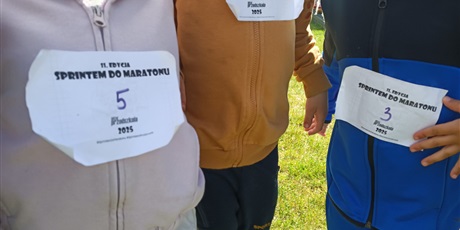 Sprintem do maratonu 