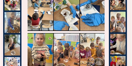 Powiększ grafikę: Kuchcikowo